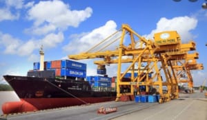 Pallet box 1200 x 1200 x 1250 mm hỗ trợ nâng hàng háo ở các cảng hàng xuất khẩu
