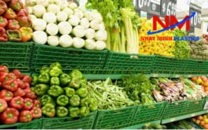 Rổ nhựa công nghiệp chứa các loại rau-củ-quả-trong các siêu thị và các khu chợ