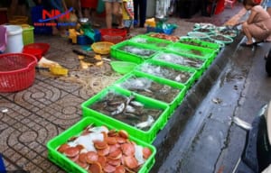 Khay nhựa đặc đựng hải sản tại các khu chợ thực phẩm