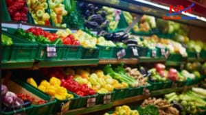 Khay nhựa chứa thực phẩm xanh