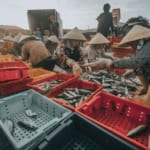 Kết nhựa thủy sản gắn bó mật thiết với người dân miền biển