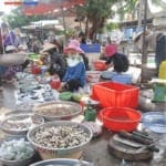 Khay nhựa vu&ocirc;ng c&ocirc;ng nghiệp chịu nhiệt rất tốt từ -40 độ C - 120 độ C