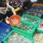 Mua khay nhựa nu&ocirc;i c&aacute; gi&aacute; rẻ tại Nhật Minh với nhiều ữu đ&atilde;i cực lớn